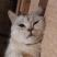 Prado77's profile picture