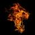 Kirill's Profile Picture